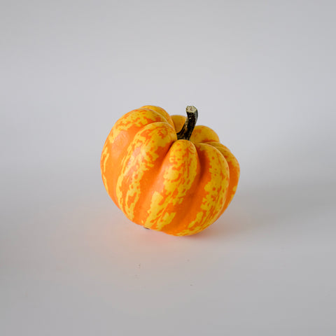 Small orange and yellow pumpkin on a white background