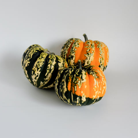 Squash, Celebration, 5lb, Organic, Tatlo Road Farm