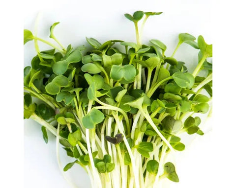 Greens & Herbs