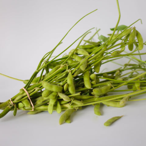 Edamame