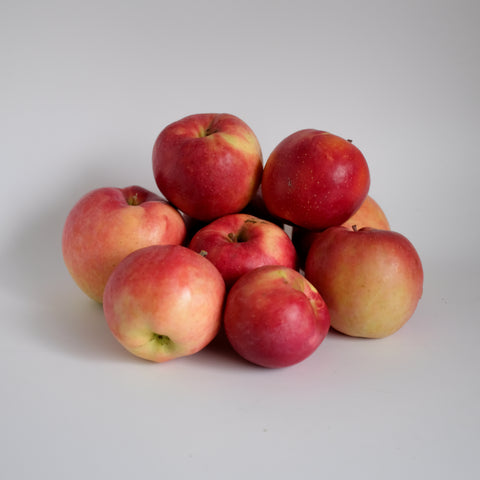 Apples, Early Fuji, 5lb, Klatt Farms