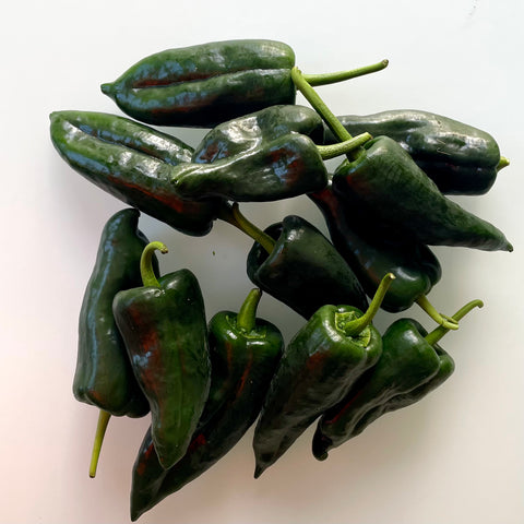 Peppers, Poblano, 1lb, Organic, Tatlo Road Farm