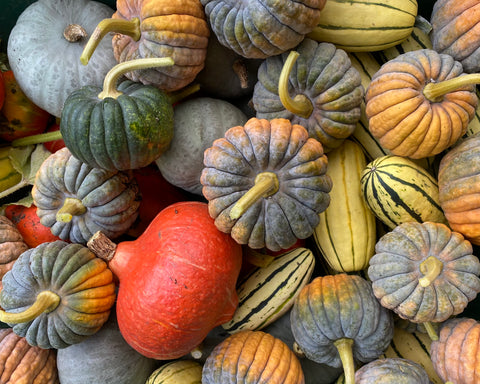 Harvest Dinners Start Here!