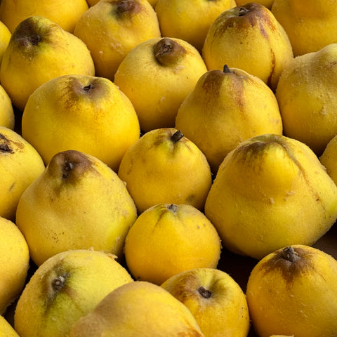 Quince, 4 lb, Blue Heron Farm