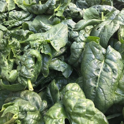 Spinach, Organic, 0.5lb, Tatlo Road Farm