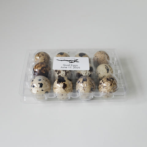 Eggs, Quail, 1 dozen, Free Run, Sproat Lake Farms