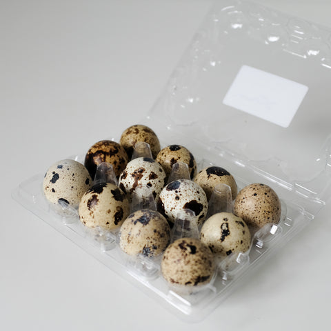 Eggs, Quail, 1 dozen, Free Run, Sproat Lake Farms