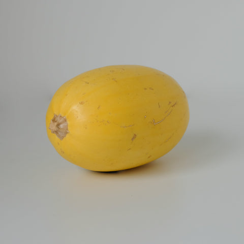 Squash, Spaghetti, Approx 2 lbs, Michell's Farm