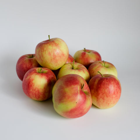 Apples, Johnagold, 5 lb, Klatt Farms