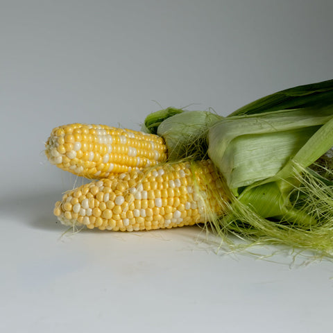 Corn, Signature Variety, 2ct, Krause Berry Farm