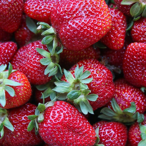Strawberries, 1 pint, Krause Berry Farms
