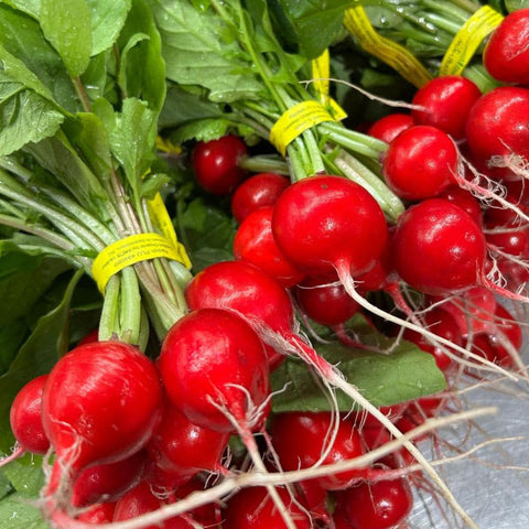 Radish, 1ct, Organic, Longview Farms