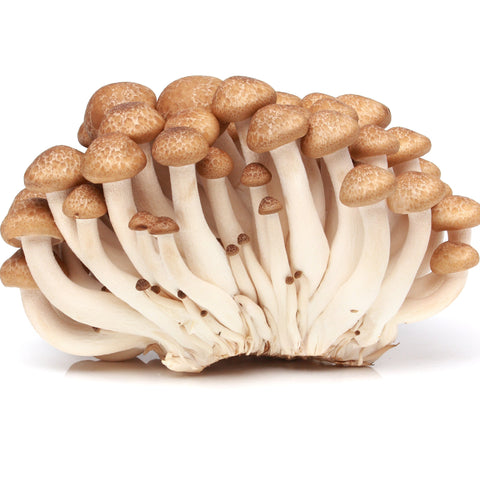 Mushrooms, Hon-Shimeji, White & Brown, 2x100gr pack