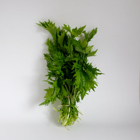 Mustard Greens, Mizuna, 1bu, Green Fire Farm