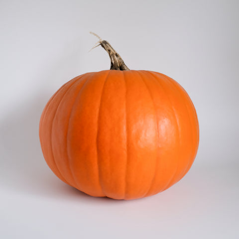 Pumpkin, Jack O Lantern, Approx  8-10lbs, Michell's Farm