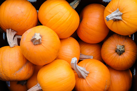 Harvest Dinners Start Here!