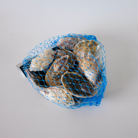 Blue mesh bag filled with shellfish on a white background
