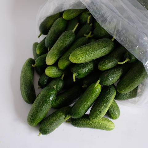 Cucumber, Pickling, 15lb, Tatlo Road Farm