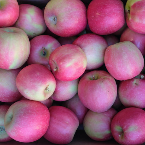 Apples, Pink Lady, 18-20lb, Full Case, Klatt Farms
