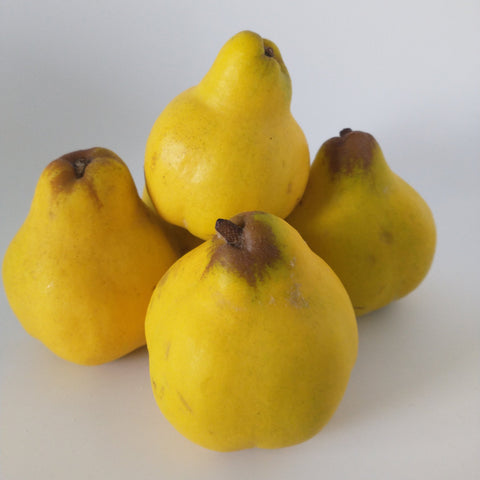 Four quince on a white background