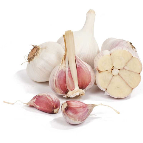 Garlic, Red Russian, 1lb, Lentelus Farm