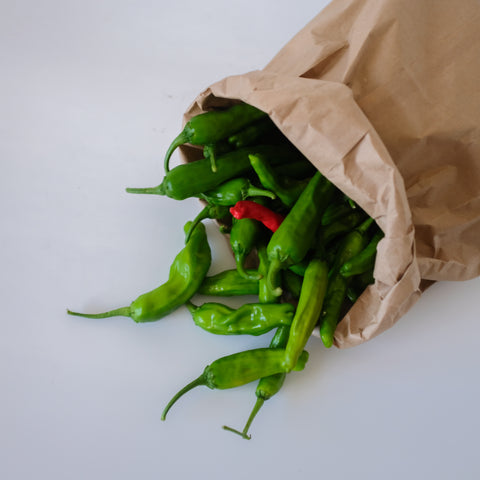 Peppers, Shishito, 1lb, Organic, Lina's Garden