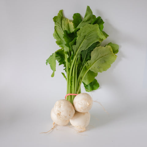 Turnips, Hakurei (Japanese), bunch, Green Fire Farm