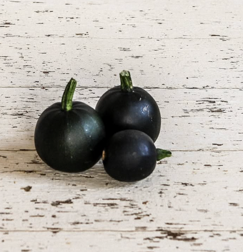 Gem Squash, 1 ct, Lockwood Farms