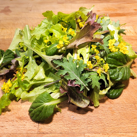 Salad Mix, Spring Greens Mix, 0.5lb, Tofino Farm