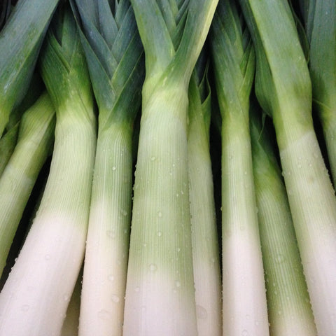 Leeks, 1.25lb, Organic, Tatlo Farms