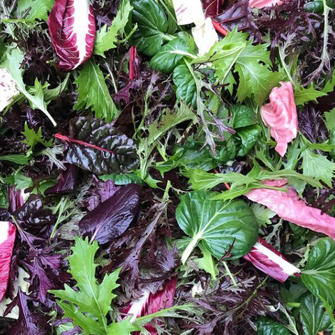 Salad Greens, 0.5lb, Organic, Tatlo Road Farm