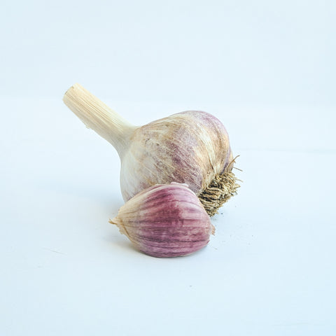 Garlic, Red Russian, Large Bulbs, Organic, 5lb, Green Fire Farm