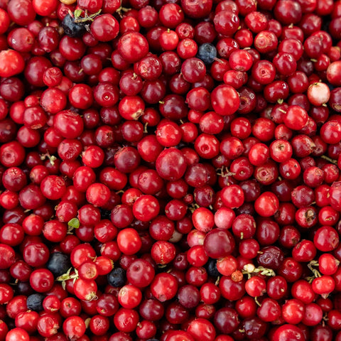 Cranberries, Fresh, 1lb, Hopcott Farms