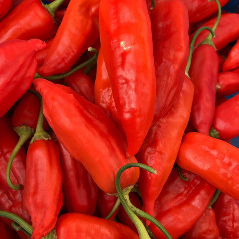 Peppers, Aji, 0.5lb, Organic,Tatlo Road Farm