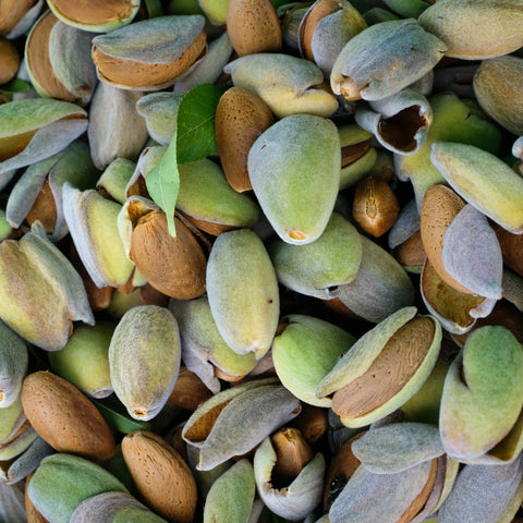 Almonds, Fresh in Husk, 2 lb, Klatt Farms