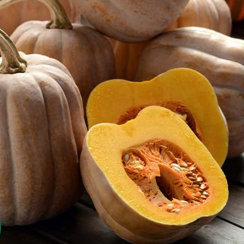 Squash, Autumn Frost, 5lb, Organic, Tatlo Road Farm