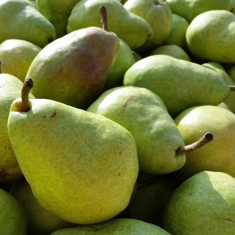 Bartlett Pear