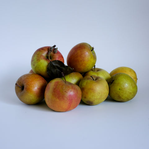 Apples, Belle de Boskoop, 4lb, Fruit Forest Farm