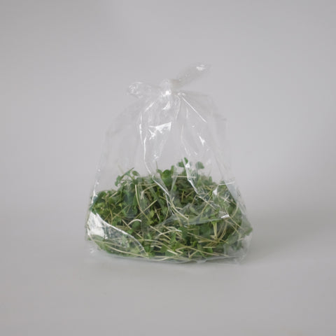Broccoli Microgreen, 1oz, Tofino Farms
