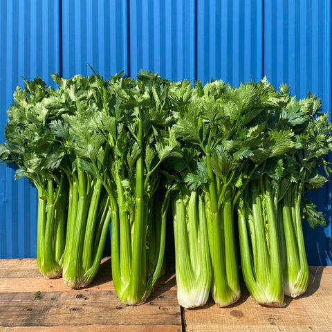 Celery Bunches Michell's Farm