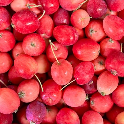 Apples, Crab Dolgo, 5lb, Klatt Farms