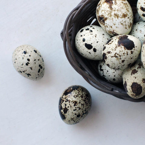 Quail Eggs