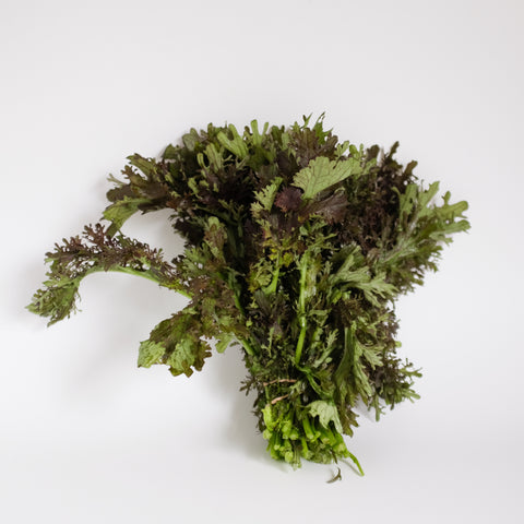 Mustard Greens, Frizzy Joe Bronze, 1bu, Green Fire Farm