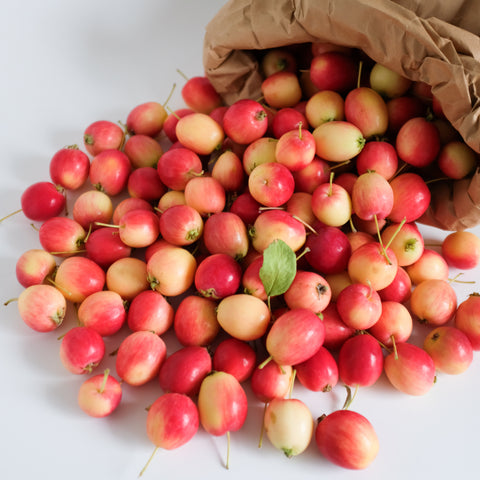 Apples, Crab Dolgo, 5lb, Klatt Farms