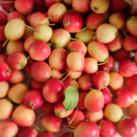 Apples, Crab Dolgo, 5lb, Klatt Farms
