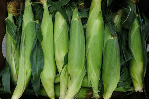 Fresh Off The Cob