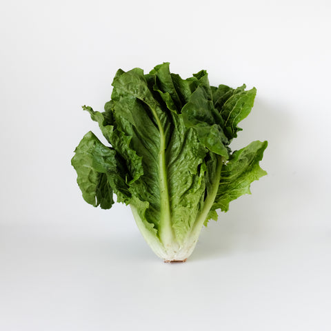 Lettuce, Romaine, 1 head, Michell's Farm