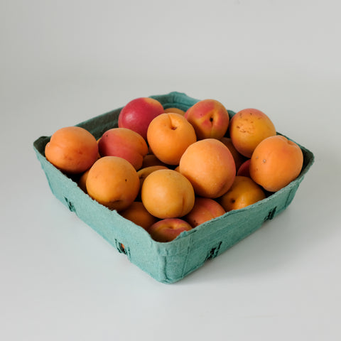 Apricots, 2.5 lb, Panorama Orchard