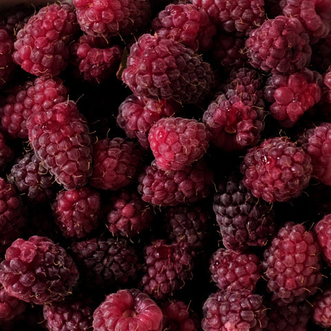 Loganberries, 4lb, Frozen, Michells Farm