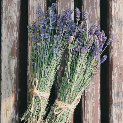 Lavender, 1 bundle, Organic, Pemberton Meadow Lavender